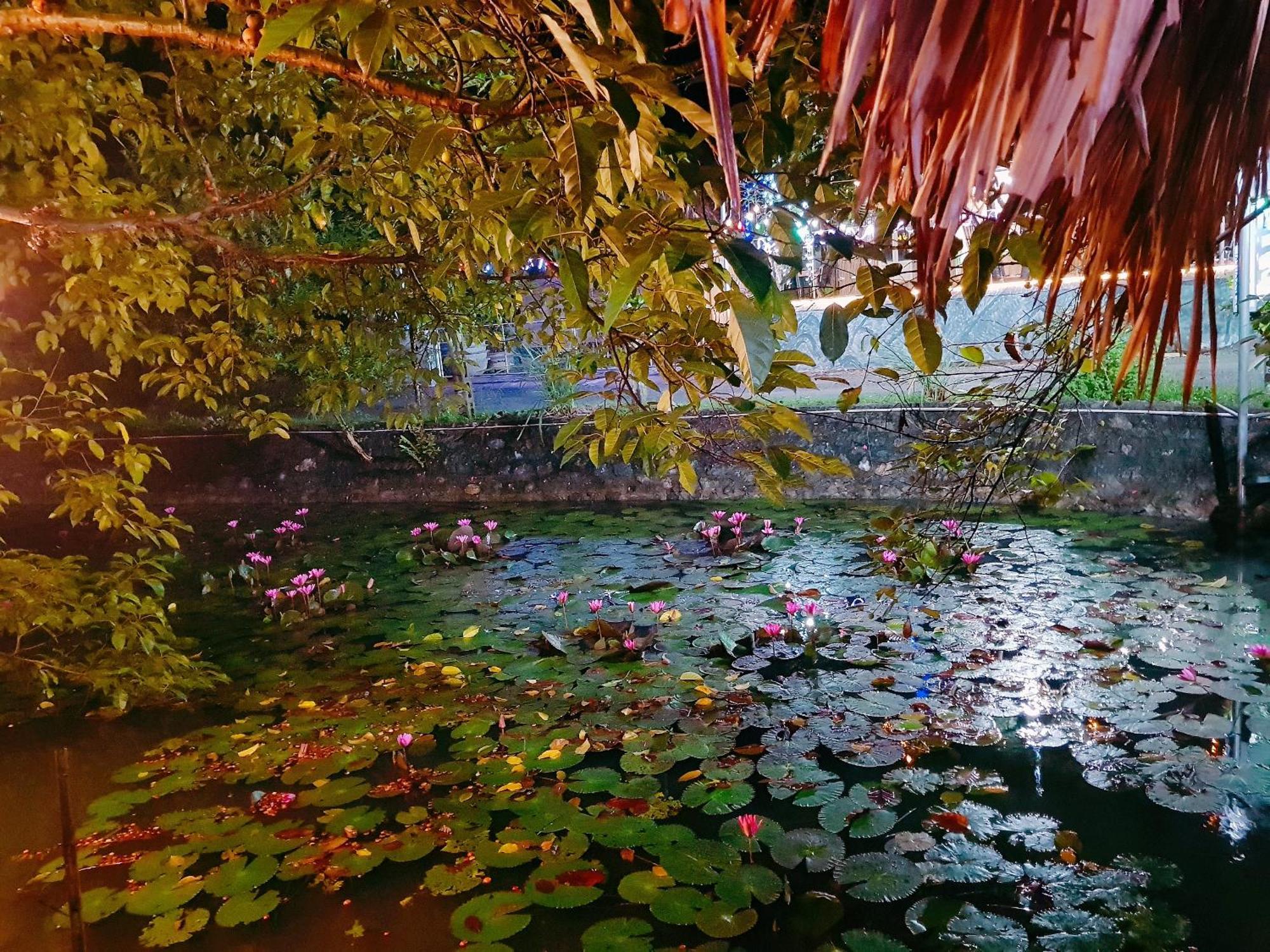 Quoc Khanh Bamboo Homestay Ninh Binh Luaran gambar